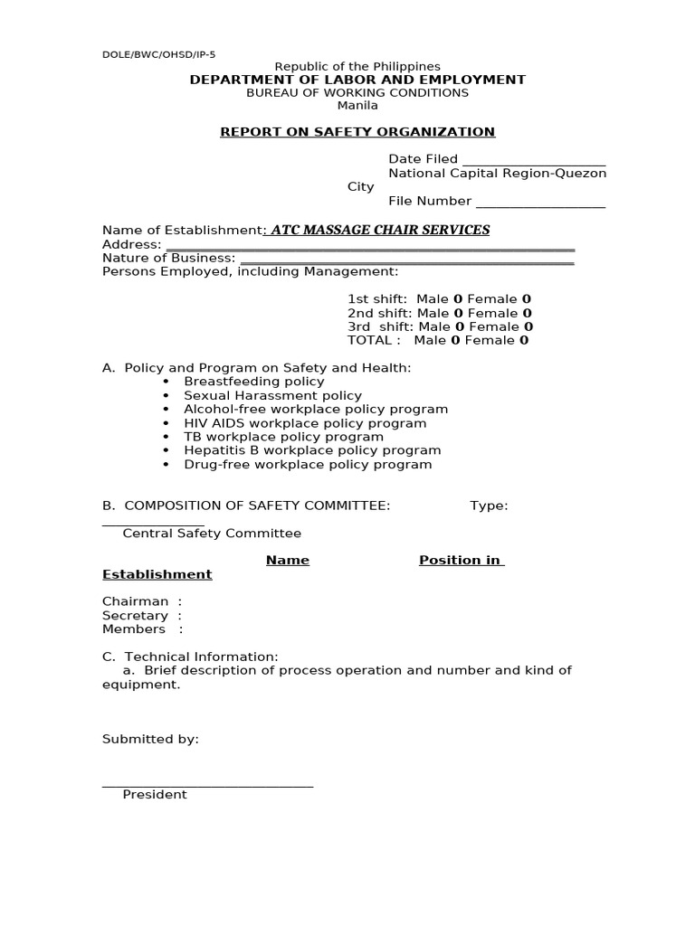 2 OSHS Health and Safety Organization | PDF