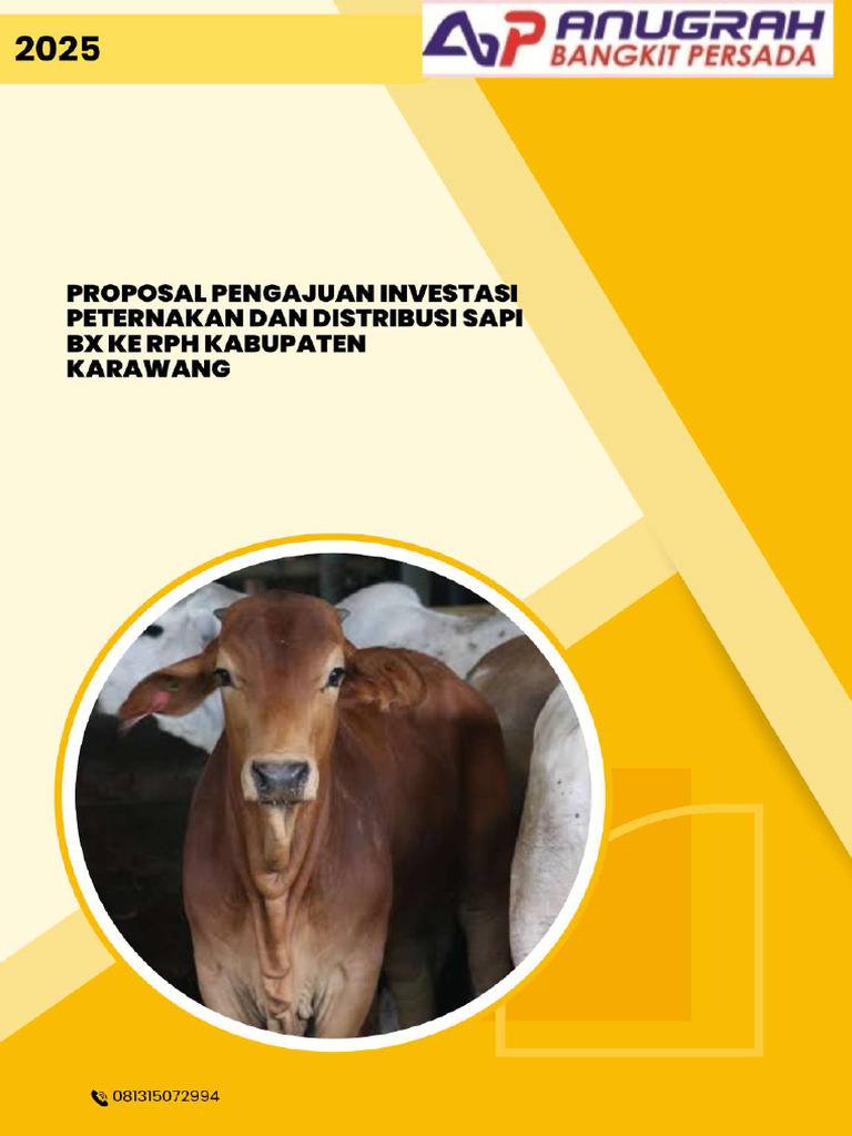Peluang Usaha Ternak Sapi BX di Indonesia | PDF
