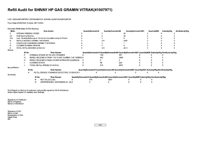 Refill Audit | PDF