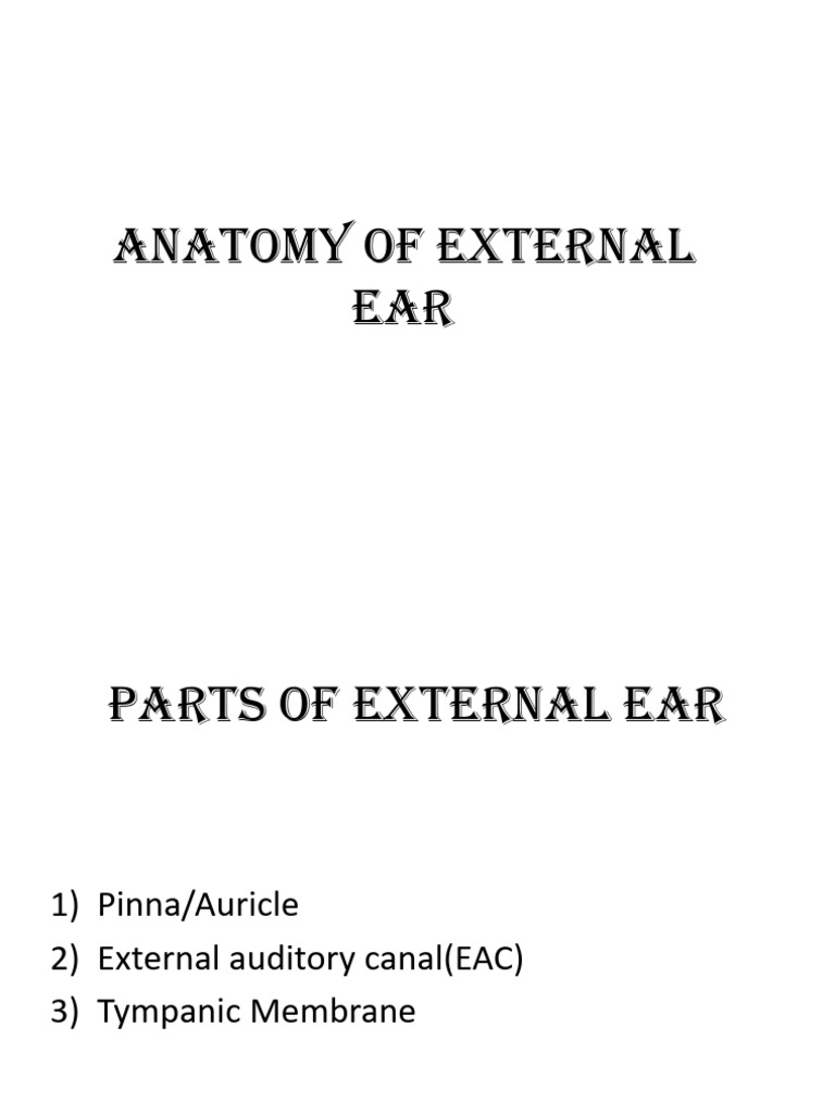 Anatomy of External Ear | PDF | Ear | Auditory System