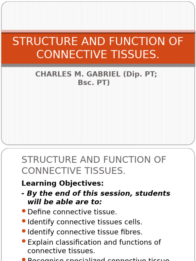 Connective Tissue: Structure & Functions | PDF | Connective Tissue ...