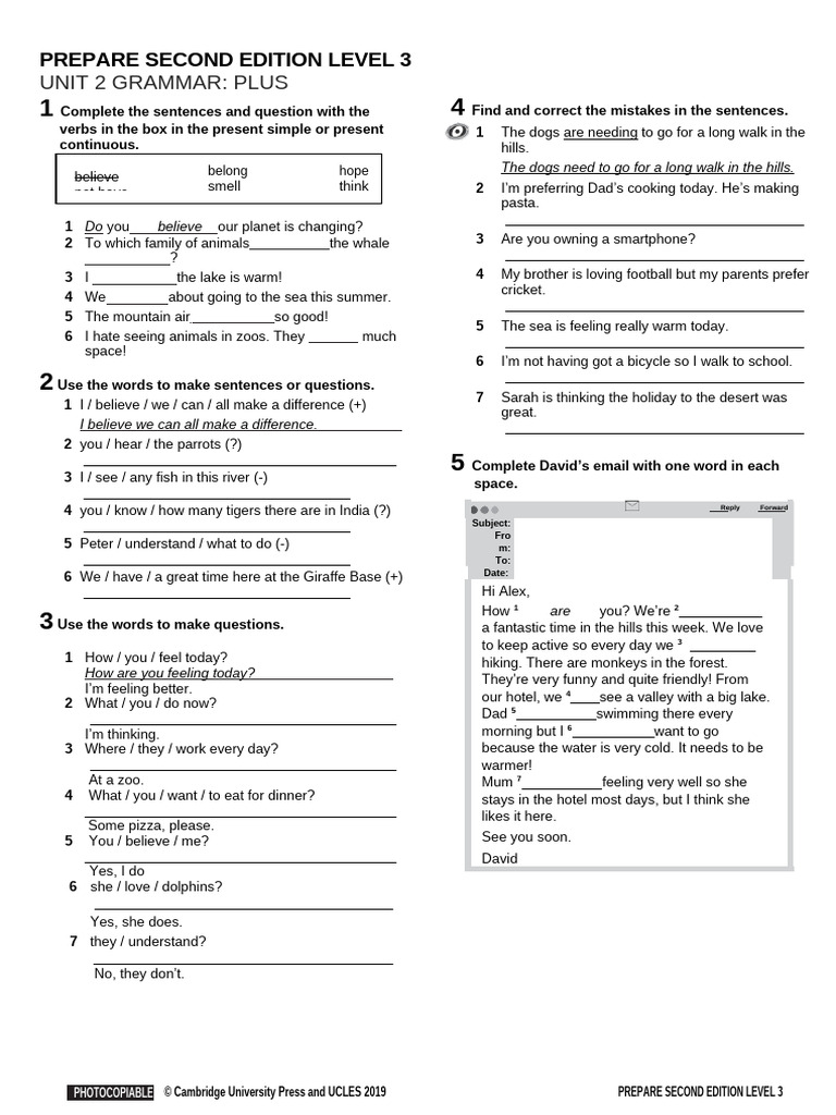 Grammar Exercises for Level 3 Students | PDF