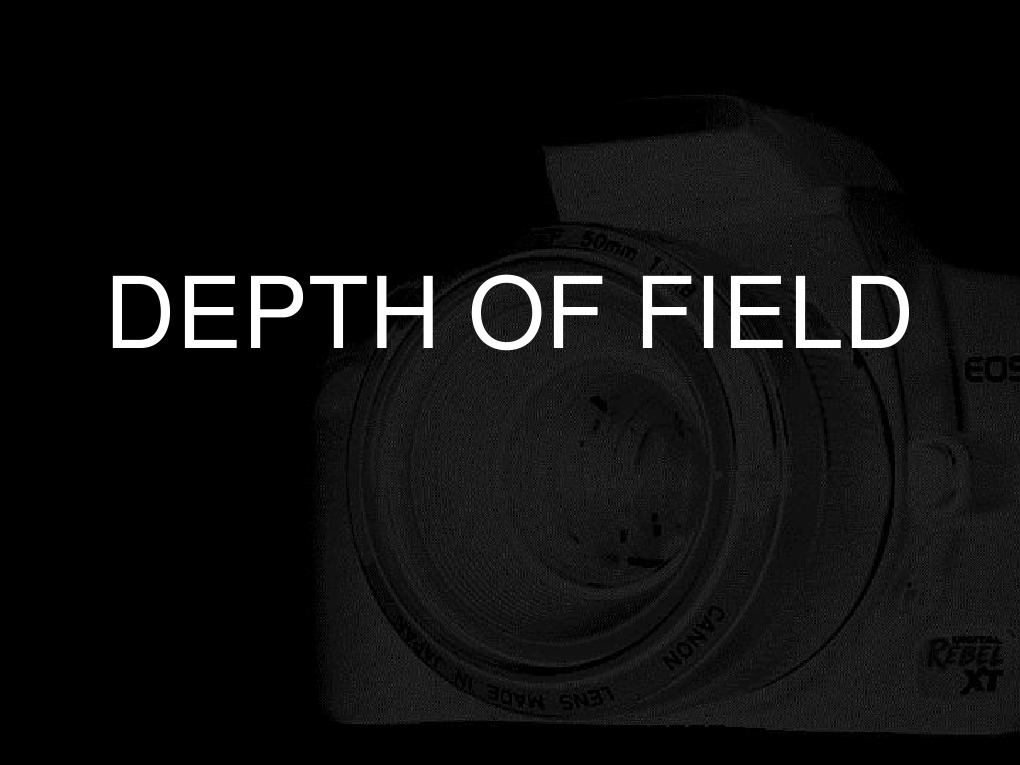 Understanding Depth of Field in Photography | PDF