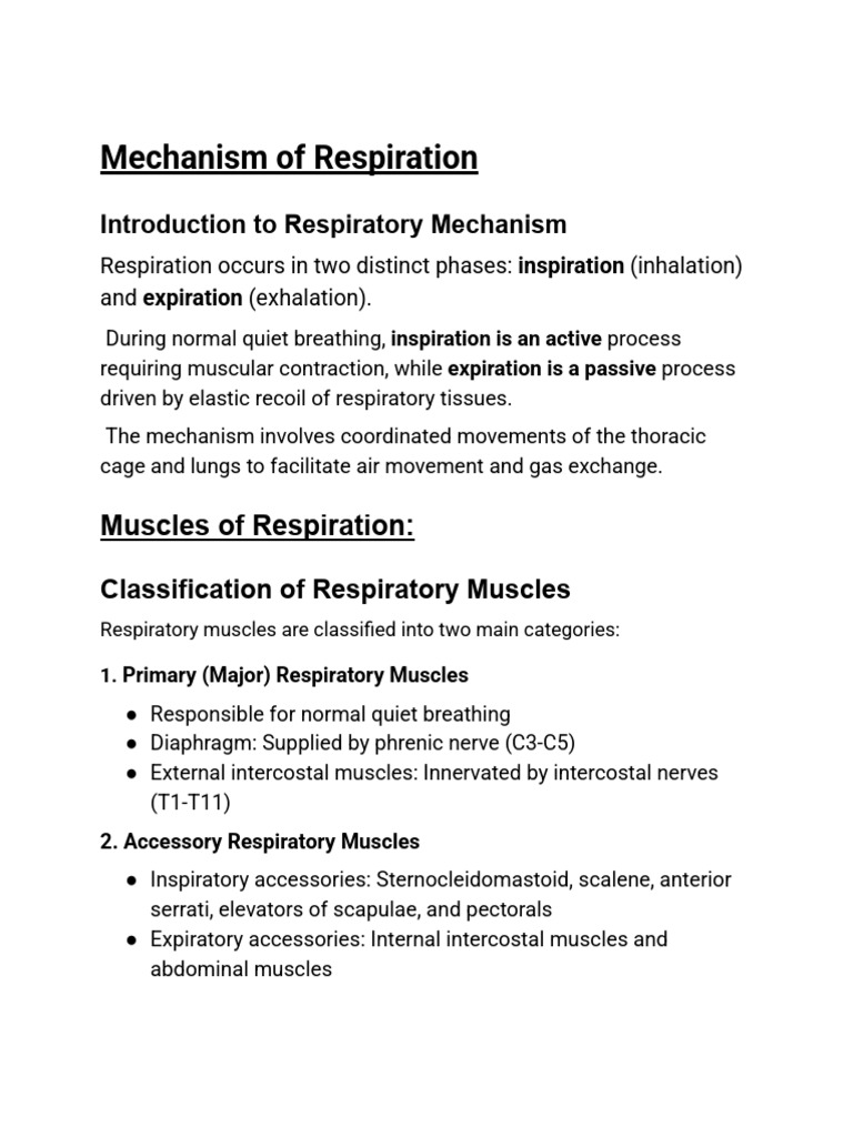 Mechanism of Human Respiration Explained | PDF | Exhalation ...