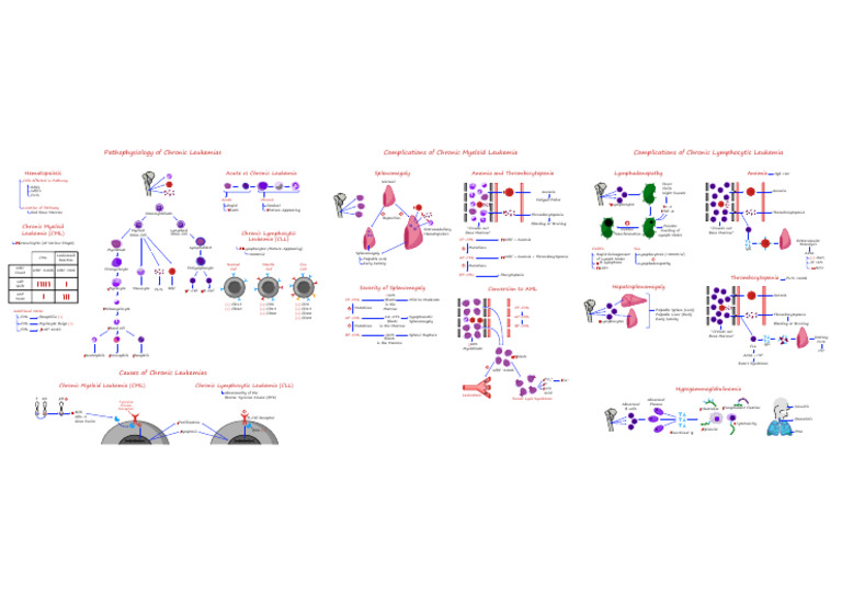 HEME-12 Chronic Leukemias [Illustrations - Key] | PDF | Leukemia ...
