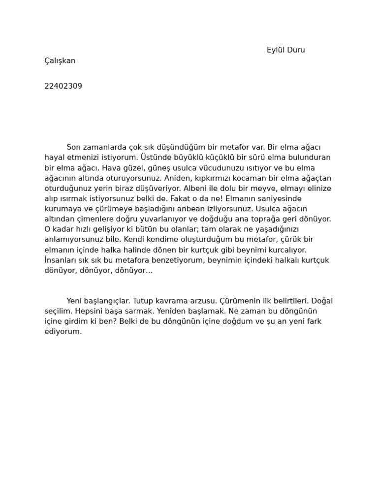 Eylül Duru Çalışkan_ Draft 4 | PDF