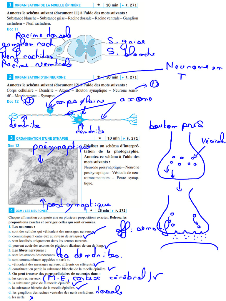 Correction | PDF