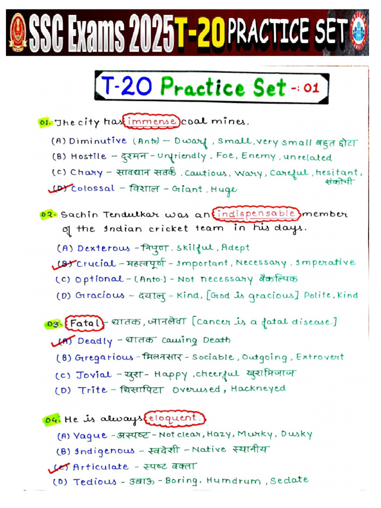 T-20 English Practice Set 02 | PDF