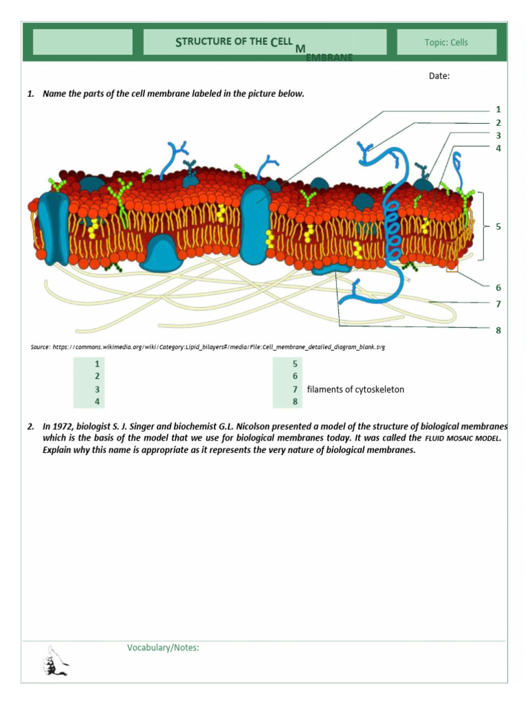 II. Cell Membrane Structure | PDF | Cell Membrane | Cell Biology