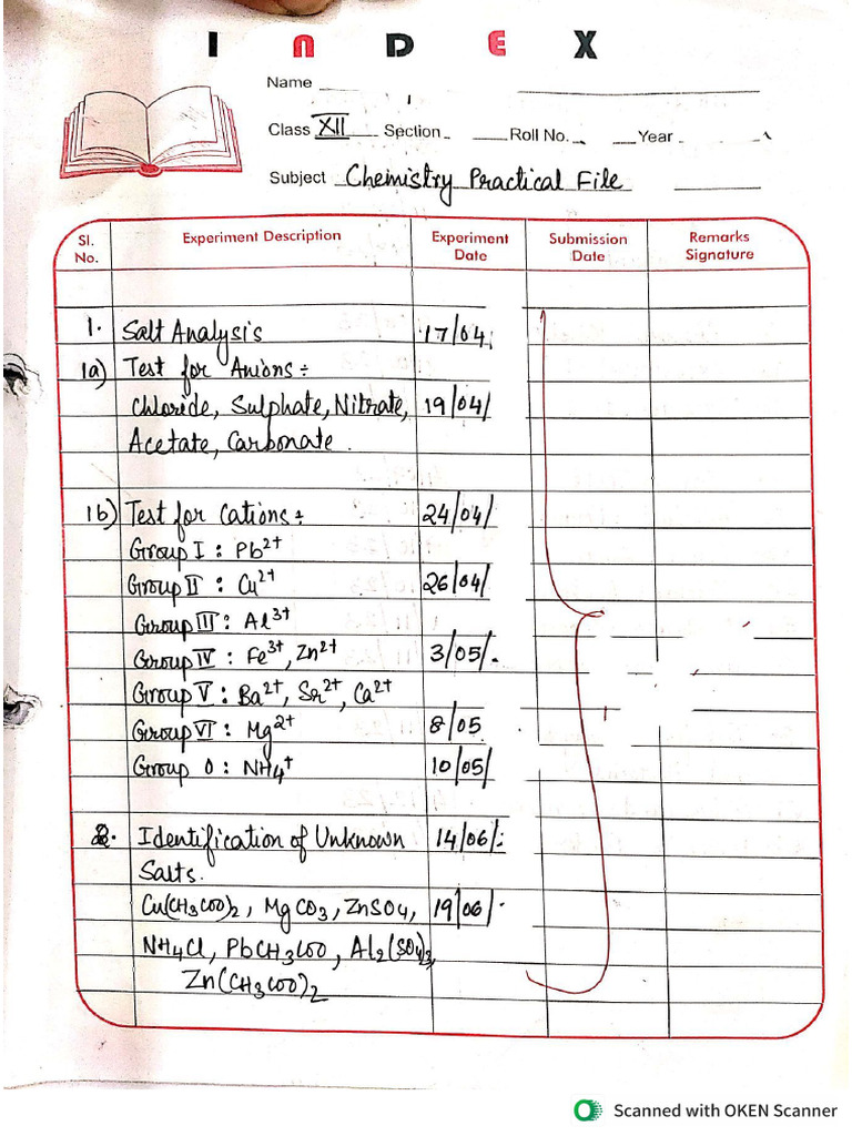 Chemistry Practical File Sample Pdf