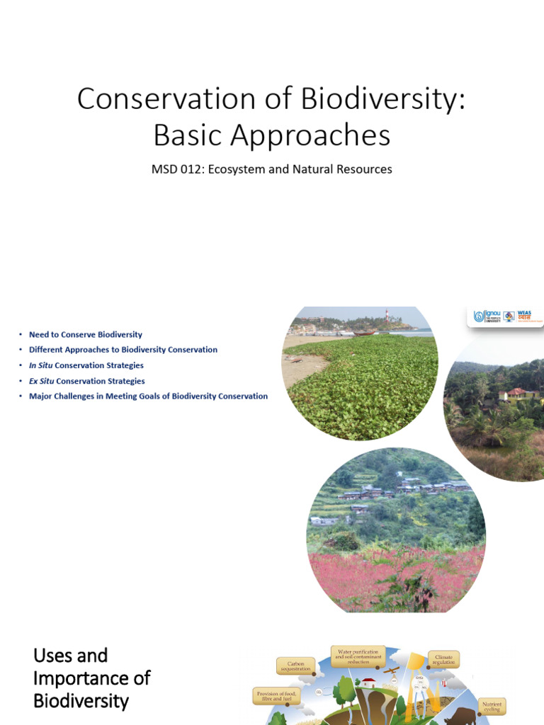 Conservation of Biodiversity Basic Approaches Editor | PDF ...