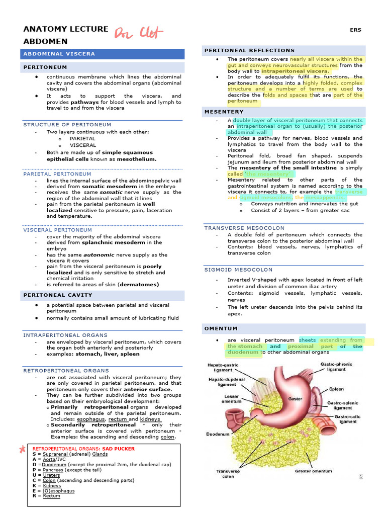 Retroperitoneal Organs: SAD PUCKER | PDF | Stomach | Large Intestine
