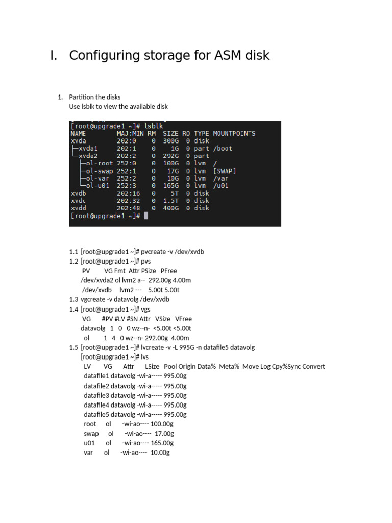 ASM Disk Configuration and Oracle Setup | PDF | Oracle Database ...