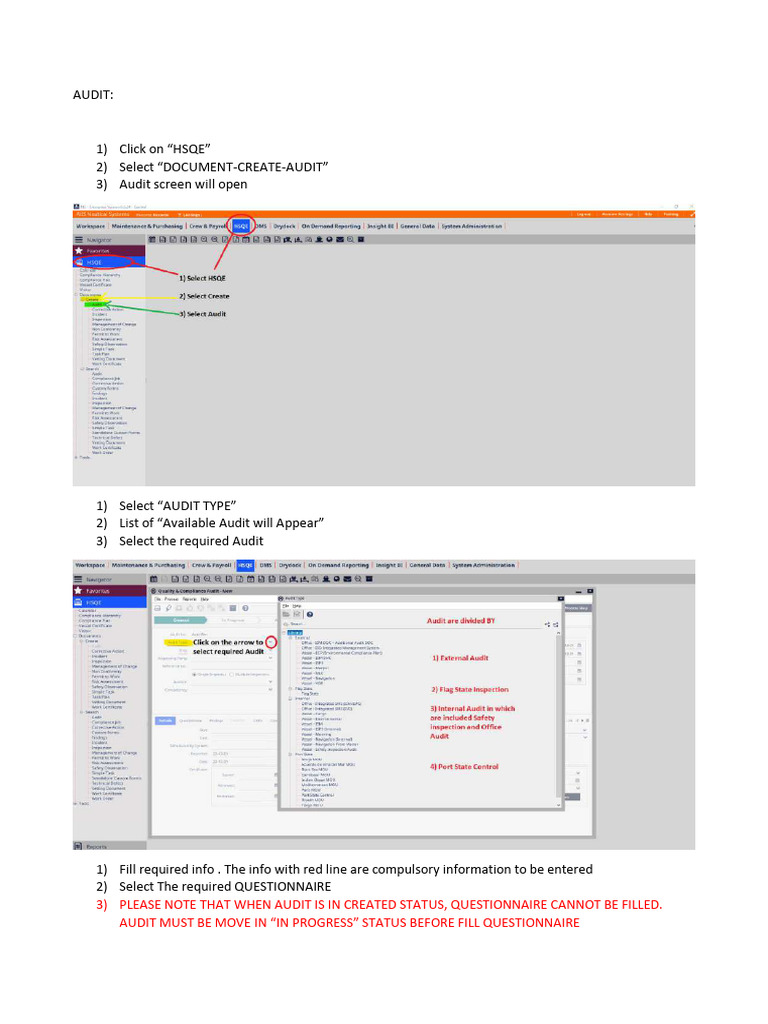Audit Guidance | PDF
