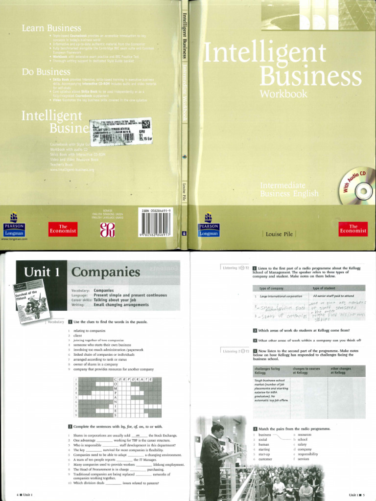 Intelligent Business | PDF