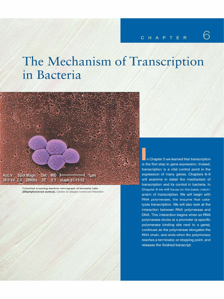 Chapter 6, Lecture 3 | PDF