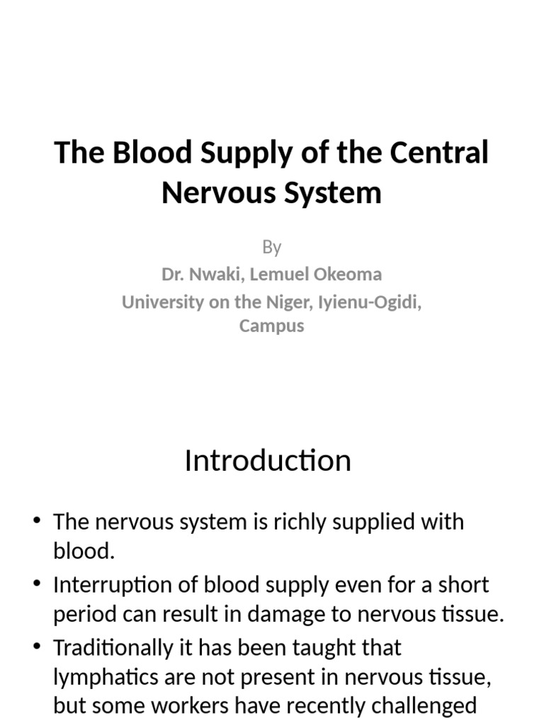 Blood Supply To The CNS | PDF | Spinal Cord | Vein