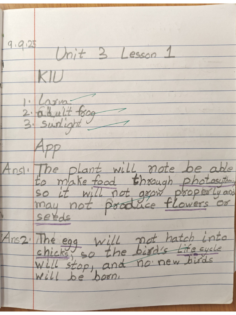 Unit 3 Notes Exemplar | PDF
