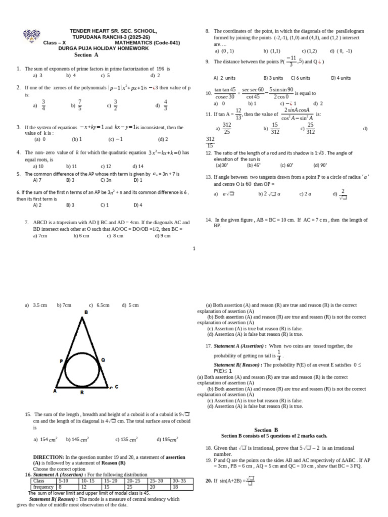Class X Mathematics Holiday Homework | PDF | Circle | Square Root