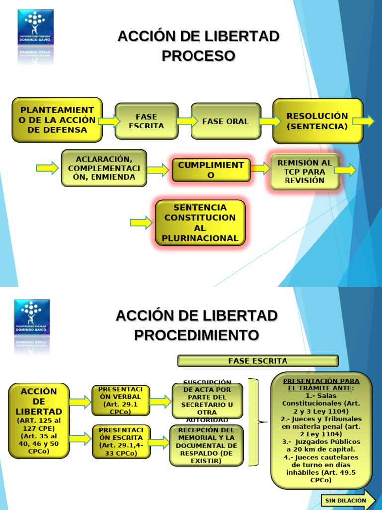 Procedimiento de La Acción de Libertad | PDF | Judicaturas | Ley Pública