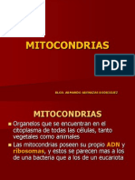 Mitocondrias y Peroxisomas