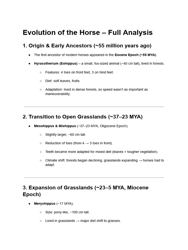 Evolution of The Horse - Full Analysis | PDF | Horses | Biology