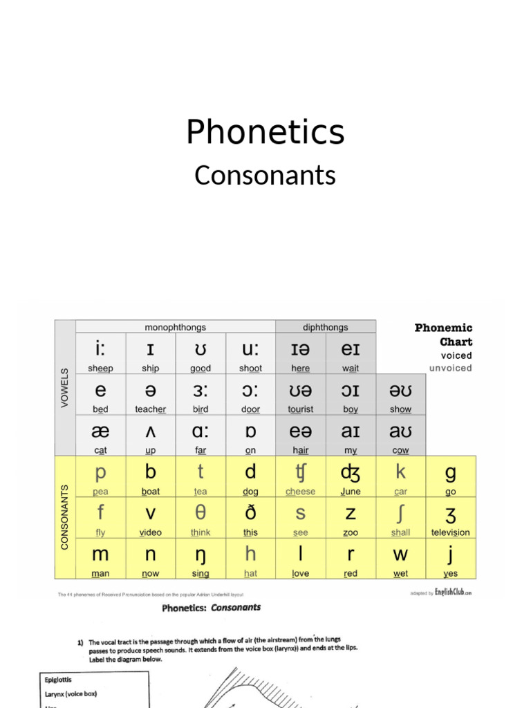 Phonetics Consonants | PDF | Consonant | Phonetics