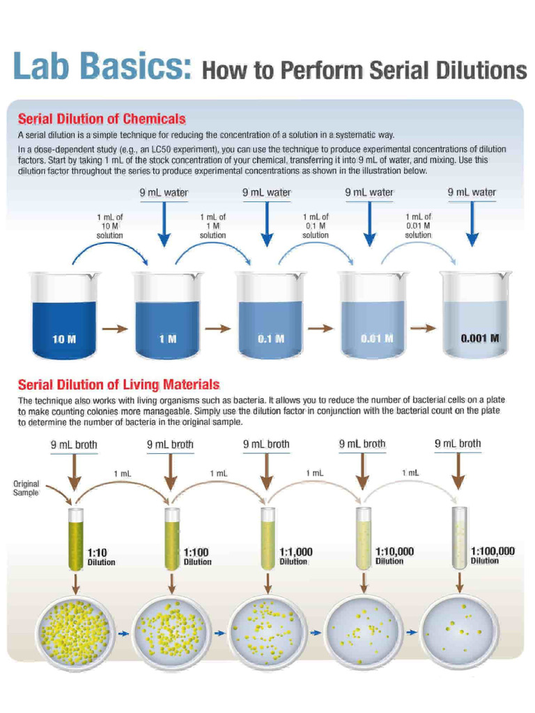 Serial Dilution | PDF