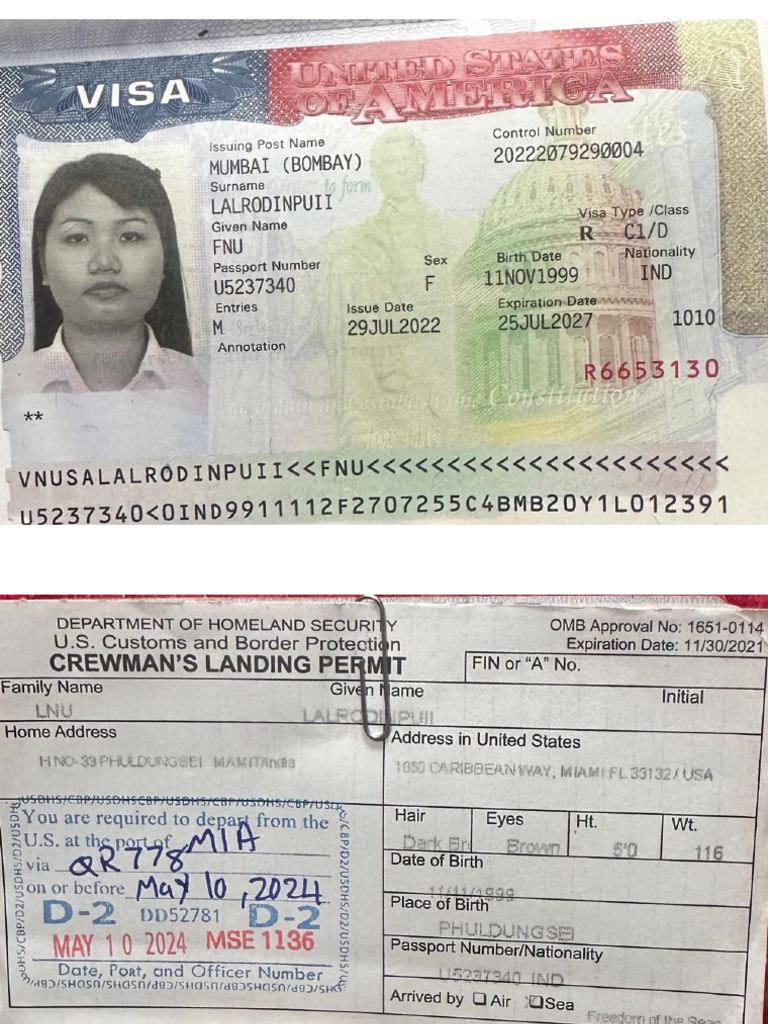 Visa | PDF