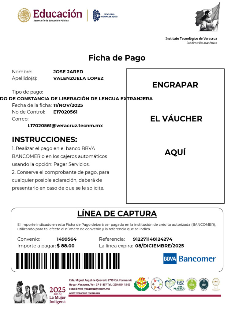 Instrucciones para Pago de Vouchers | PDF