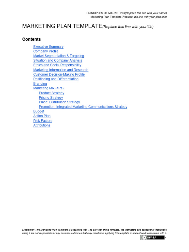 Template Marketing Plan PDF Marketing Brand