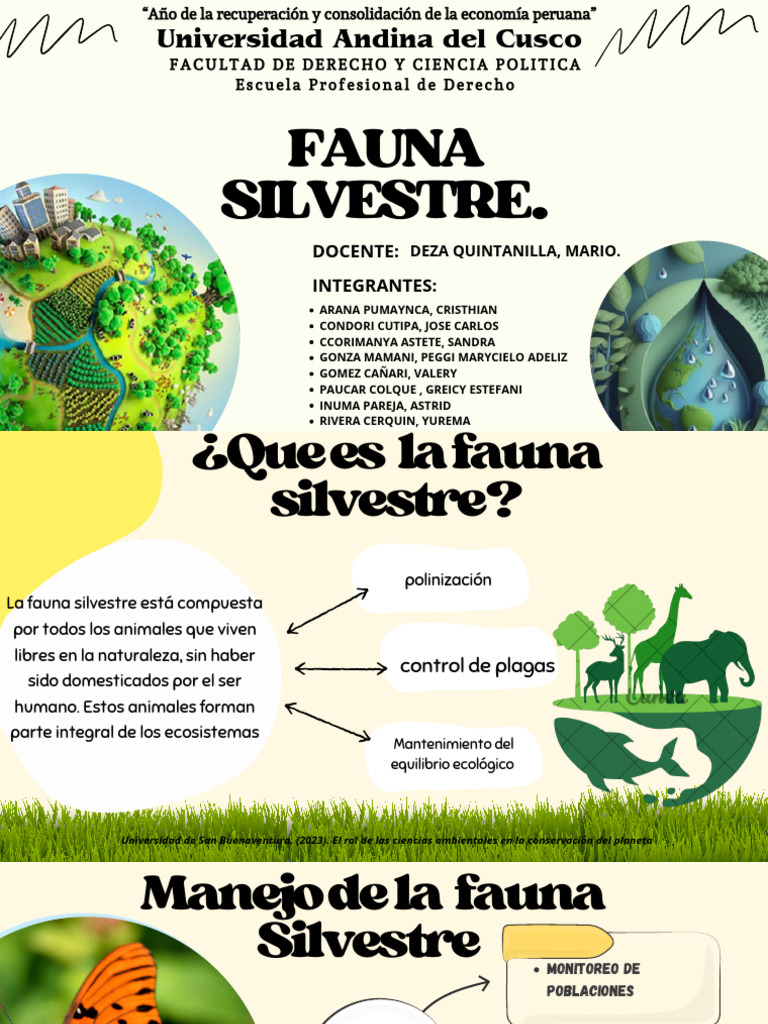Manejo Sostenible de Fauna Silvestre en Perú | PDF | Sustentabilidad ...