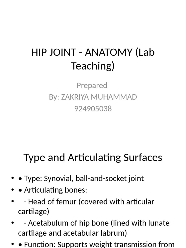 Hip Joint Anatomy and Function Guide | PDF