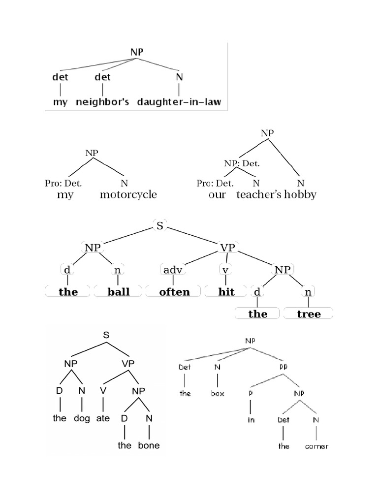 3aa Tree Diagram | PDF