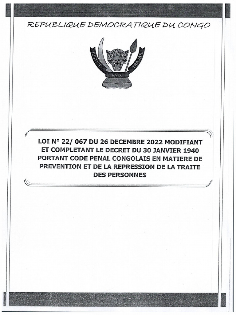 067 Modifiant Et Completant Le Code Penal Congolais | PDF