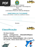 Download Anatomia do Tucunar by Juliana Schneider SN94731547 doc pdf