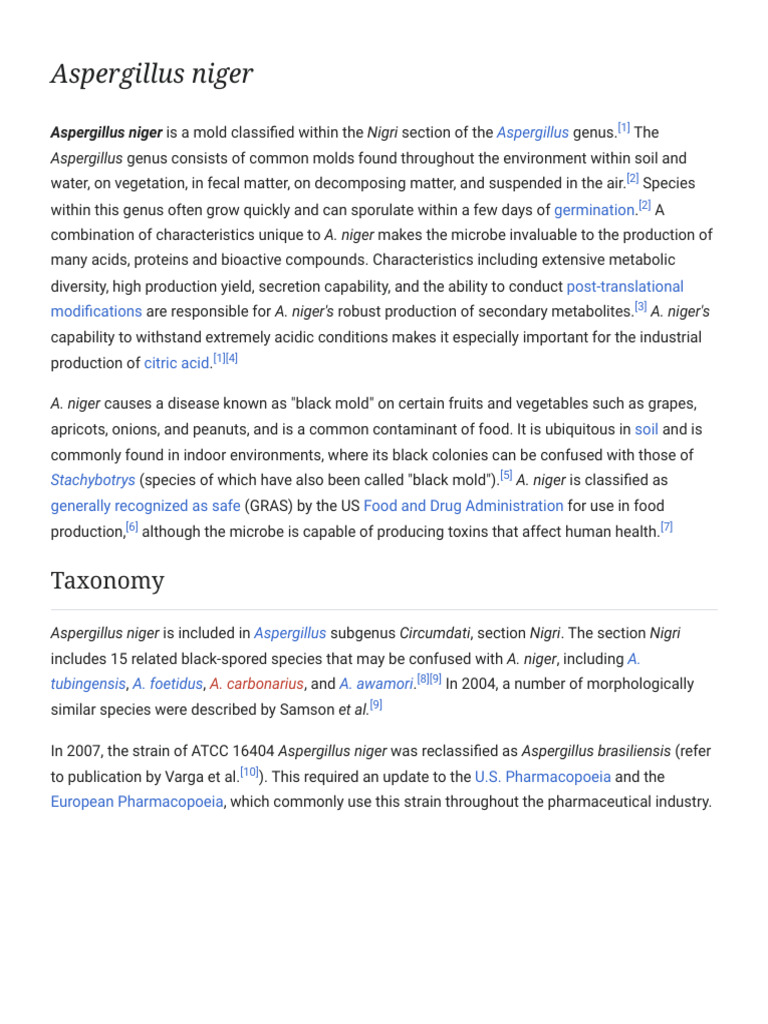 Overview of Aspergillus niger | PDF | Biology