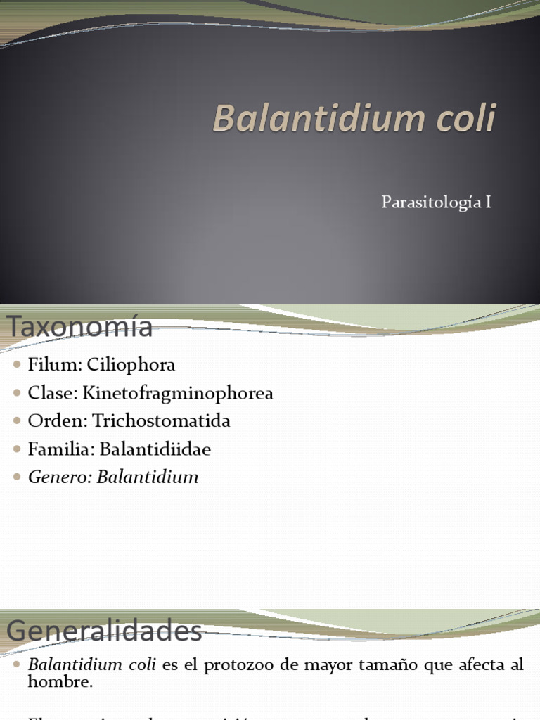 Balantidium Coli para El Estudio Parasitologico | PDF | Especialidades ...