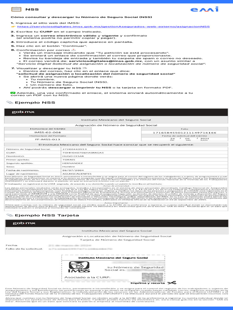 Cómo Descargar tu NSS del IMSS | PDF