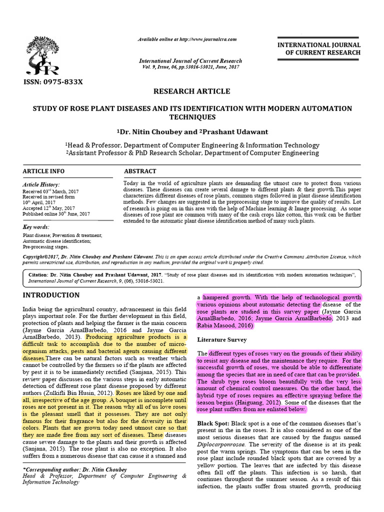Rose Plant Disease Detection Automation | PDF | Pruning | Image ...