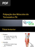 13ª Aula - Palpação dos Músculos do Tornozelo e Pé (CURSO)