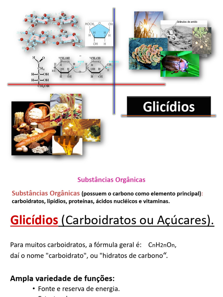 Glicídios: Estrutura e Funções dos Carboidratos | PDF | Carboidratos ...