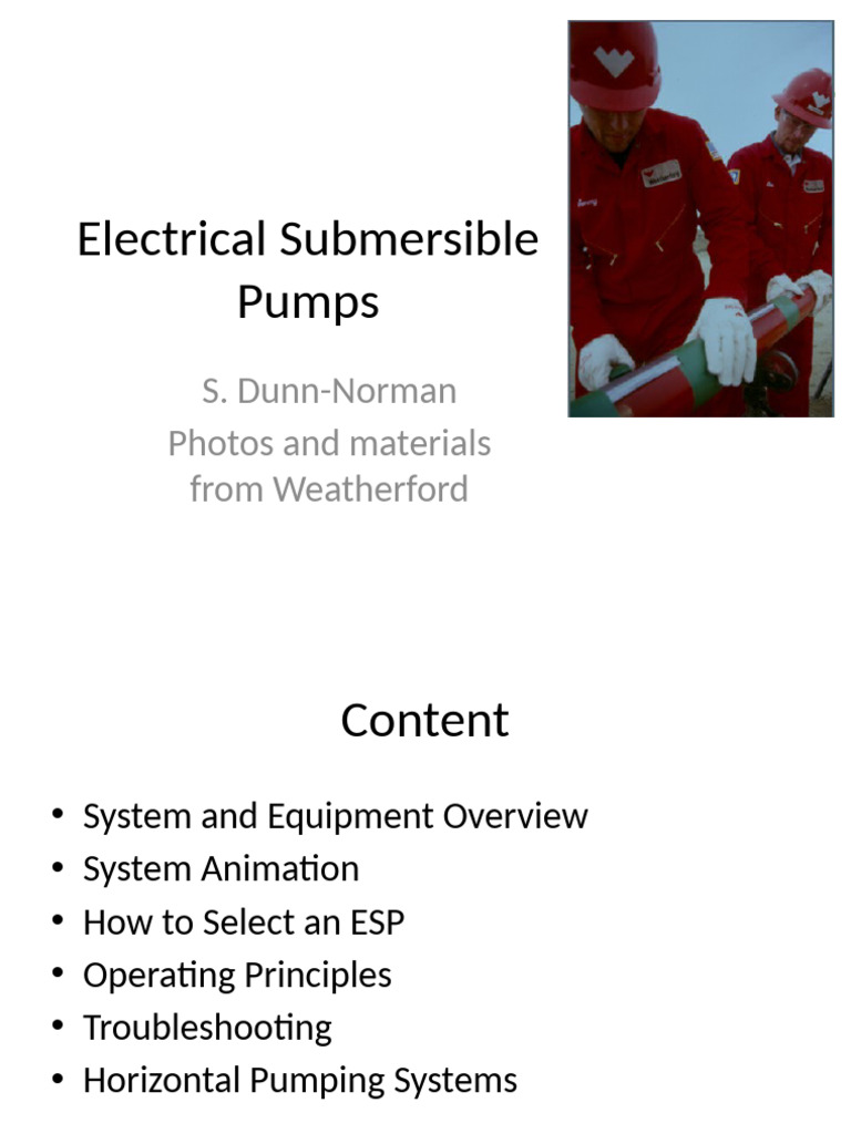 Electrical Submersible Pumping | PDF | Pump | Engines