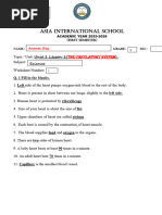 Grade 5 Science Term 1 Assessment | PDF | Circulatory System | Blood