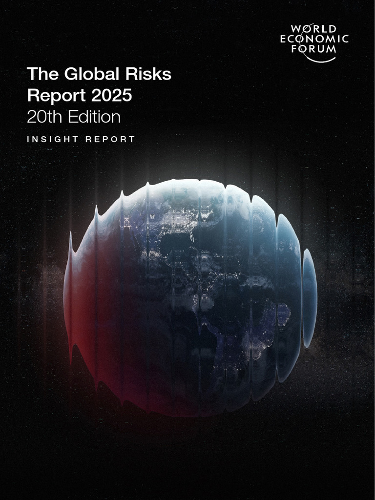 Global Risks Report 2025 Overview | PDF