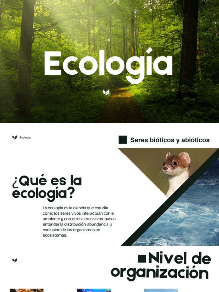 Ecología y ecosistemas _20251111_220616_0000 | PDF | Ecología | Ecosistema