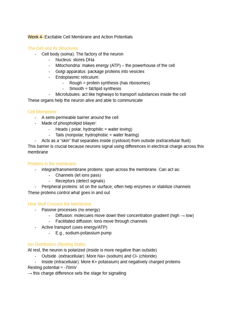 Action Potentials and Synaptic Transmission | PDF | Neurotransmitter ...
