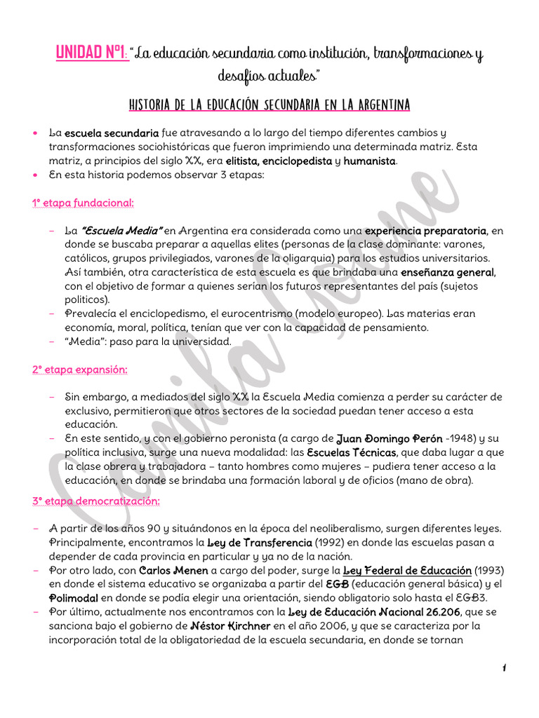 Apuntes Curriculum y Didáctica Ii | PDF | Plan de estudios | Enseñando