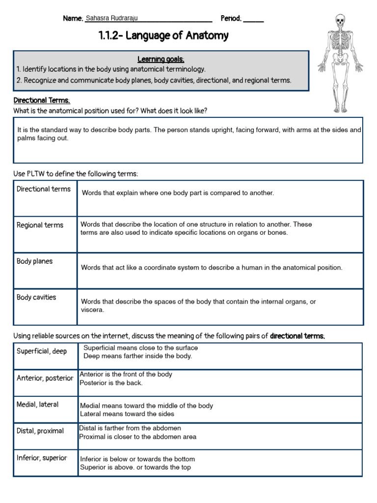 1.1.2 - Language of Anatomy - Printable PDF | PDF | Anatomical Terms Of ...