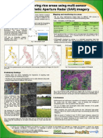 Mapping and monitoring rice areas using multi-sensor multi-temporal Synthetic Aperture Radar (SAR) imagery